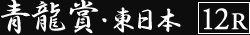 青龍賞11R